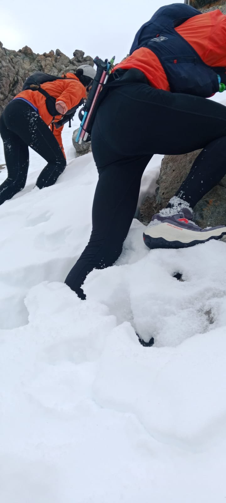 nieve